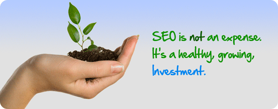 seo services in bhopal